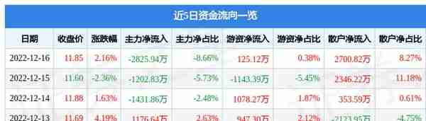 太阳纸业（002078）12月16日主力资金净卖出2825.94万元