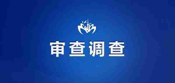 上海社保信息系统3月20日-4月10日停机切换，部分人社事项将暂停服务！一公职人员被查！下周二起16号线调整