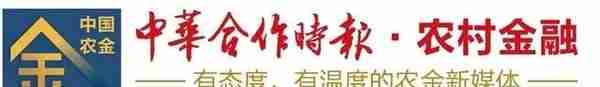 用户突破1200万！广西农信手机银行为啥受欢迎？