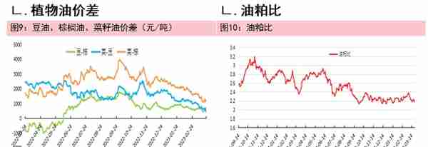 油脂油料：欧洲菜油下挫，带动油脂板块走弱