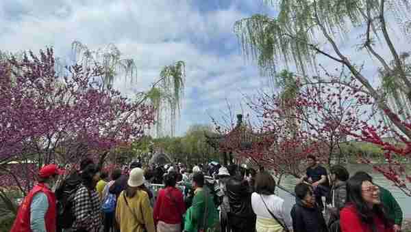 “烟花三月”顺江而游，长江豪华游轮“世纪传奇”号首泊扬州