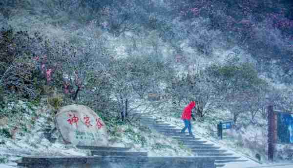 “神圣、神秘、神奇”湖北神农架景区精彩亮相宁夏银川