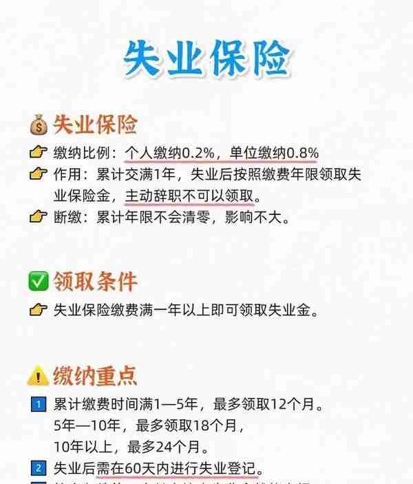 就告诉你一个人的秘密，七张图带你理清社保及公积金的所有事情