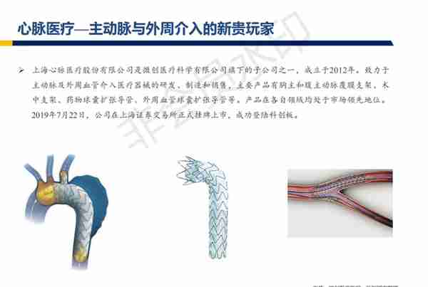 心脉医疗行业深度报告：主动脉与外周血管介入开疆拓土