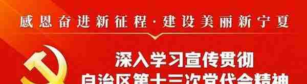 大学习 大讨论 大宣传 大实践丨宁夏博物馆连续四年入选全国核心价值观主题展览推介项目名单！