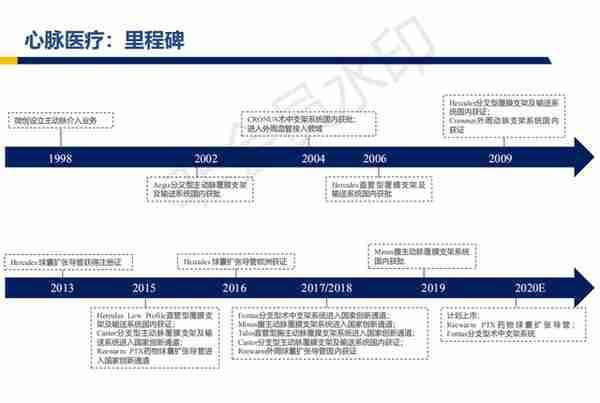 心脉医疗行业深度报告：主动脉与外周血管介入开疆拓土