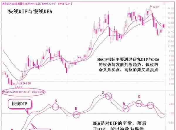 中国股市真正发财的一种人：用最“笨”的办法，牢记“5分钟MACD逃顶法”，次次都能卖在最高点