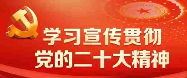 耒阳公安成功打掉一“杀猪盘”电信网络诈骗团伙，19人落网