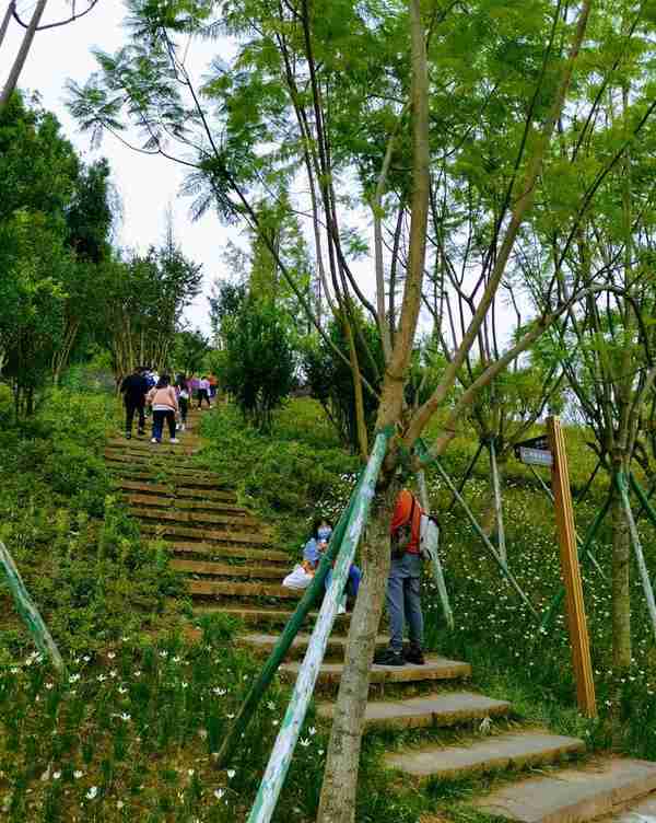 成都徒步（36）·简阳篇①龙泉山丹景台·三岔湖