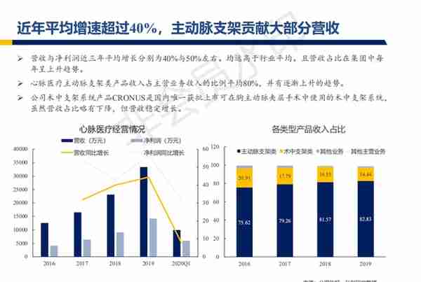 心脉医疗行业深度报告：主动脉与外周血管介入开疆拓土