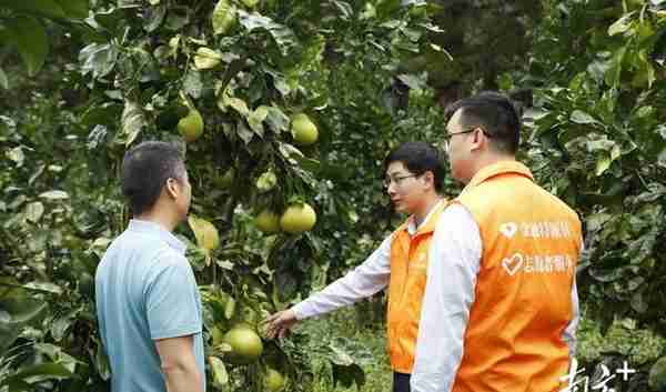 砥砺十一载，奋进正当时！大埔农商银行改制成立11周年