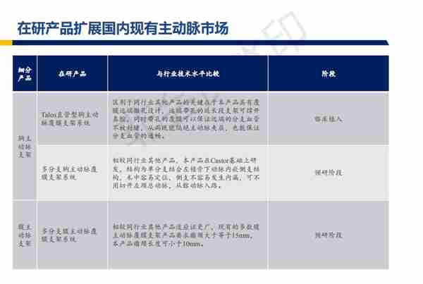 心脉医疗行业深度报告：主动脉与外周血管介入开疆拓土