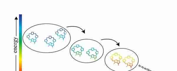 量子生物学的未来：量子理论如何帮助理解生命？