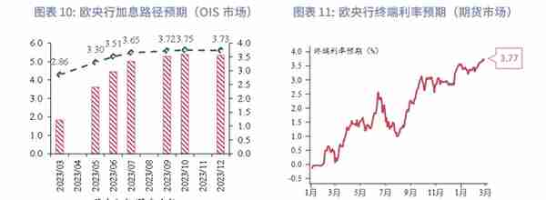 美元反弹未尽，速率趋缓—2023年3月G7汇率前瞻