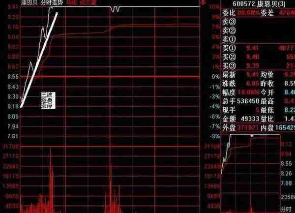 金融女博士终于发声了：中国股市背后的庄家是谁？我整整读了10遍