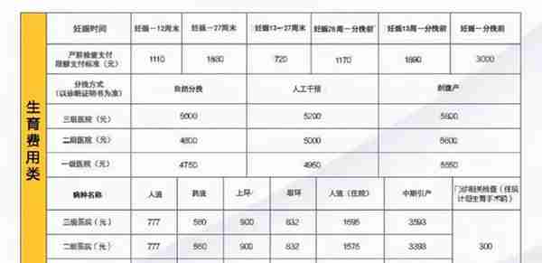 生育保险要交多久才能报销？