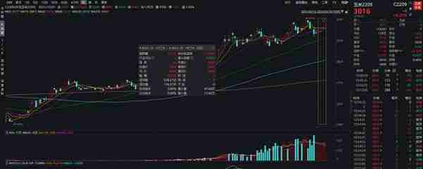 玉米期货目前的基本面、技术面分析