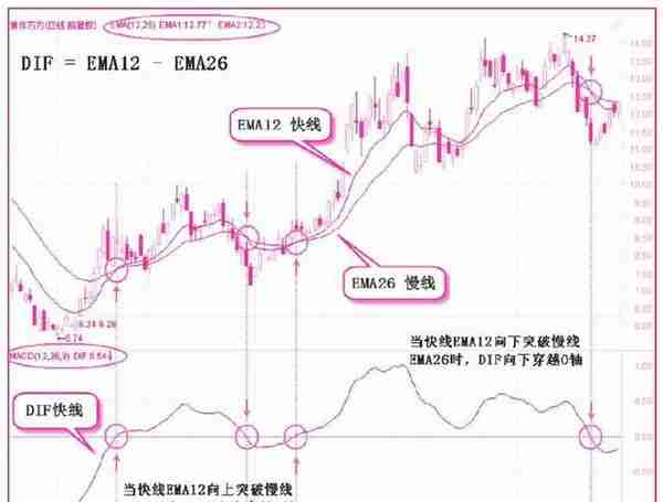 中国股市真正发财的一种人：用最“笨”的办法，牢记“5分钟MACD逃顶法”，次次都能卖在最高点