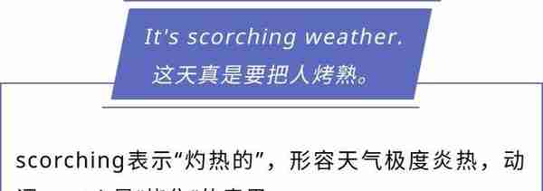 dog days不是“狗日子”！原来“热成狗”是真的……