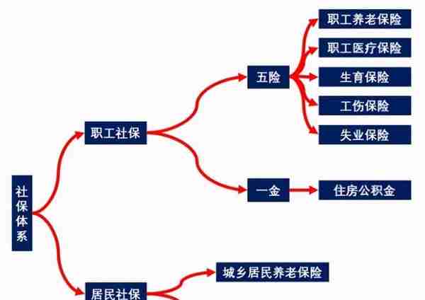 吐血整理社保报销的16个技巧，比别人多报几万块