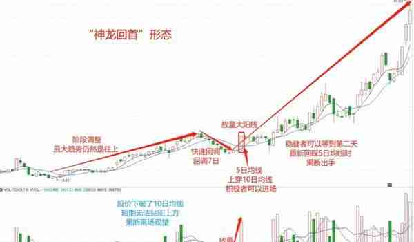 一旦遇到“神龙回首”，大胆重仓抄底，后市不是涨停就是涨不停