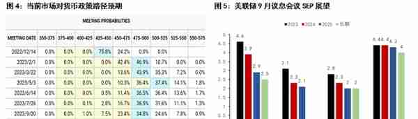 年报 丨 贵金属：藏器于身，待时而动