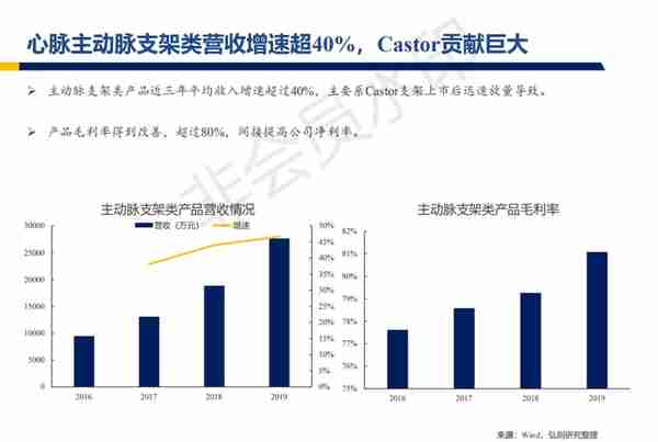 心脉医疗行业深度报告：主动脉与外周血管介入开疆拓土