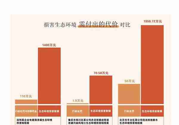 系列报道③—损害赔偿丨罚款百万、赔偿千万，损害生态环境代价大