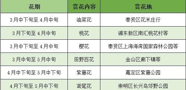 “梅”飞色舞，沪郊赏花好去处丨上海市消保委现代农业办