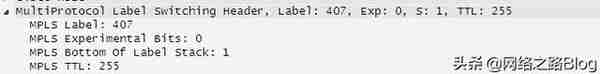 MPLS系列之一：MPLS原理、标签过程 解决BGP路由黑洞