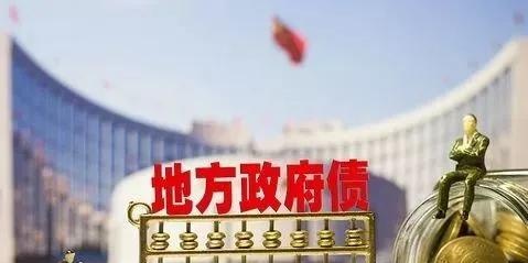 2004年开始买政府债，什么是地方政府投融资平台？