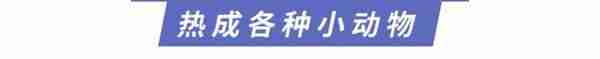 dog days不是“狗日子”！原来“热成狗”是真的……