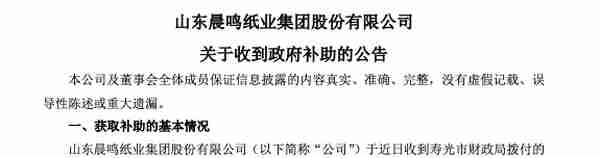 “山东造纸大王”再获政府补助7300万 13年间获政府补助近43亿，曾连续多年上榜省纳税百强