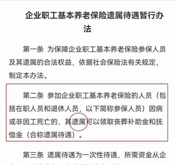 我爸是她爸亲兄弟！父辈去世60多年，上海阿婆申领堂姐丧葬费遭“最难证明题”