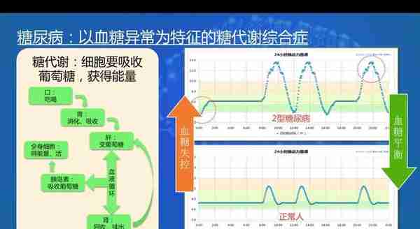 第二回：防骗宝典询证十五问，控糖秘籍动态六维法