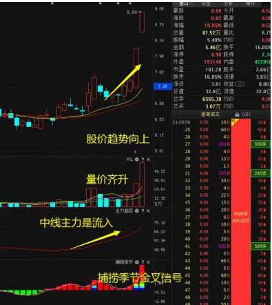 牛散30年感悟：很多人不懂成交量总被洗出局！分清“缩量上涨”和“缩量回调”，终于找准真正的强势龙头