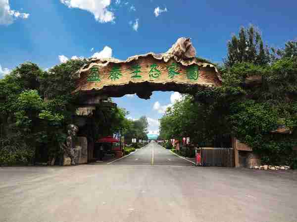 滕州一日游——赏微山湖景、勇攀莲青山、享受温泉快感~