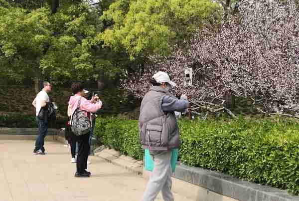 元大都北土城“海棠花溪”，柳绿桃红海棠花落彩缤纷