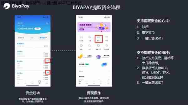 BIYAPAY--年轻人港美股投资平台新选择