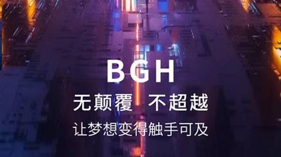 区块链最有潜力的虚拟货币BGH（比特币63000高度分叉币）