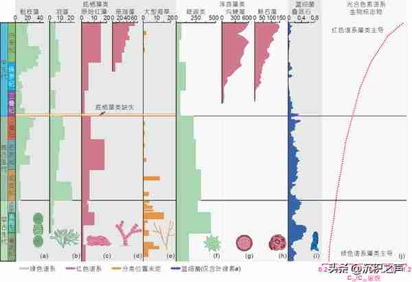 古生代-中生代之交海洋生物泵演变与浮游生物革命