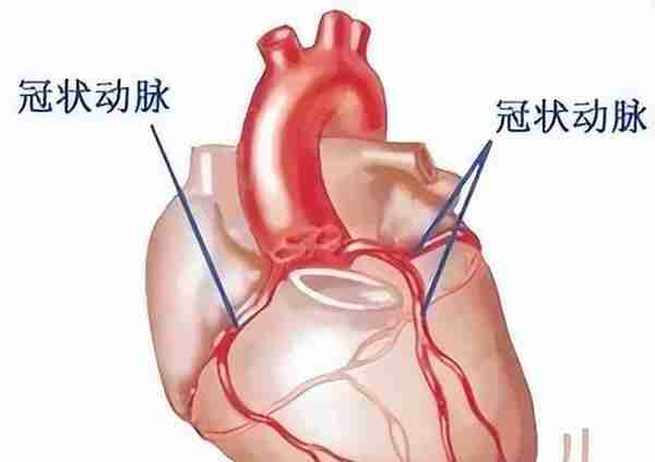 这种疼法才是心绞痛，别再搞错了！掌握五步急救方法关键时刻救命