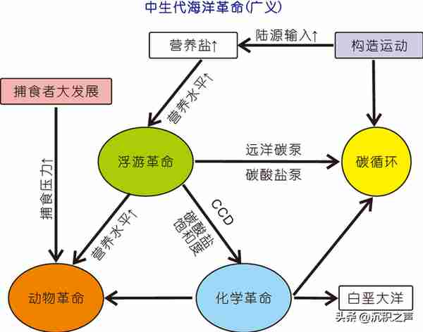 古生代-中生代之交海洋生物泵演变与浮游生物革命