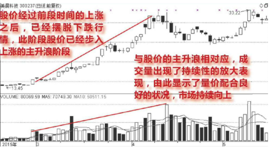 牛散30年感悟：很多人不懂成交量总被洗出局！分清“缩量上涨”和“缩量回调”，终于找准真正的强势龙头