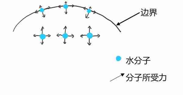 小小的肥皂泡，藏着大大的秘密