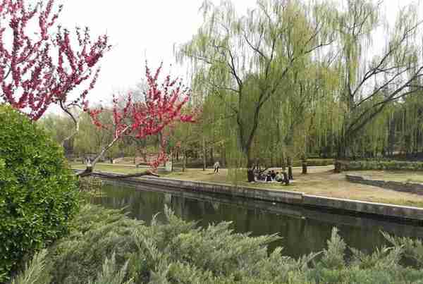 元大都北土城“海棠花溪”，柳绿桃红海棠花落彩缤纷