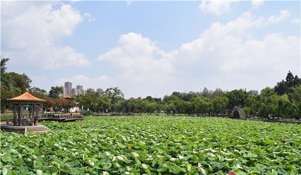 等等，昆明也有西湖？它在哪里？