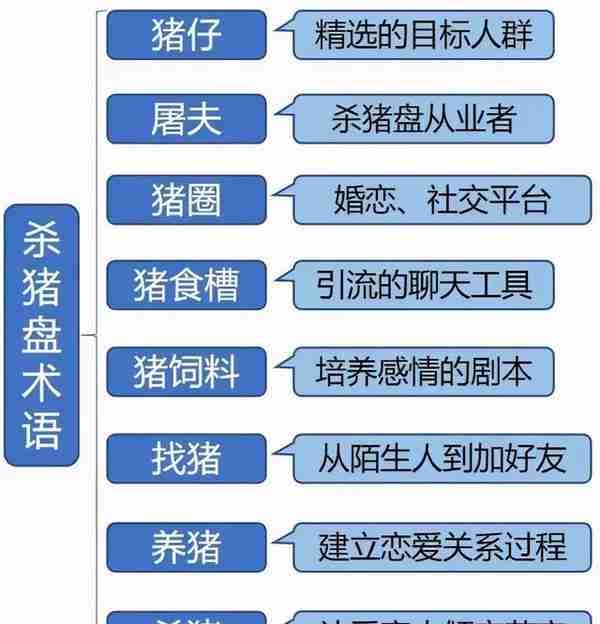 起底一个精心的骗局，它早该上热搜第一了