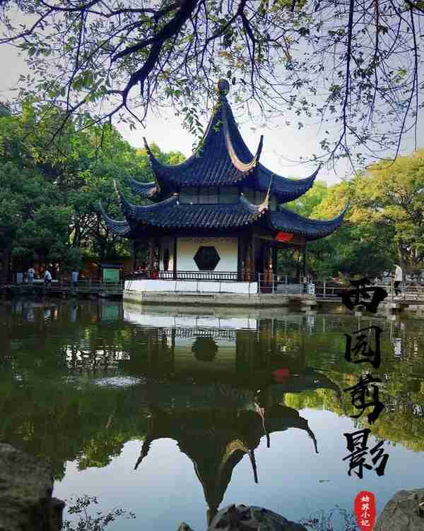 苏州｜西园寺‼️比寒山寺更值得一去的小众寺庙