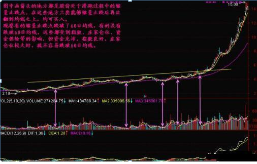 牛散30年感悟：很多人不懂成交量总被洗出局！分清“缩量上涨”和“缩量回调”，终于找准真正的强势龙头